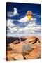 The Lake Powell in Glen Canyon-Gary718-Stretched Canvas