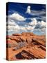 The Lake Powell in Glen Canyon-Gary718-Stretched Canvas