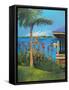 The Lake-Jane Slivka-Framed Stretched Canvas