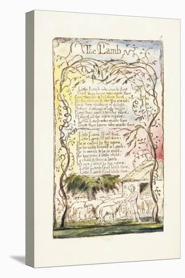 The Lamb, 1789-William Blake-Stretched Canvas