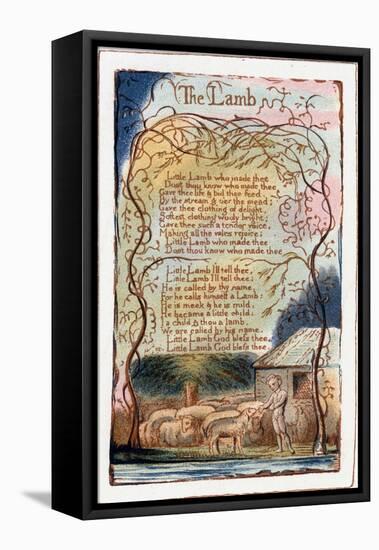 The Lamb, Illustration from 'Songs of Innocence and of Experience', C1770-1820-William Blake-Framed Stretched Canvas