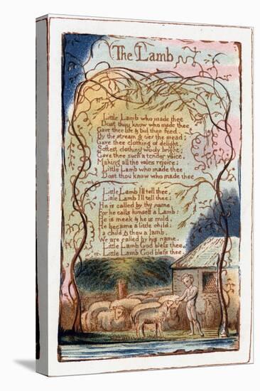 The Lamb, Illustration from 'Songs of Innocence and of Experience', C1770-1820-William Blake-Stretched Canvas
