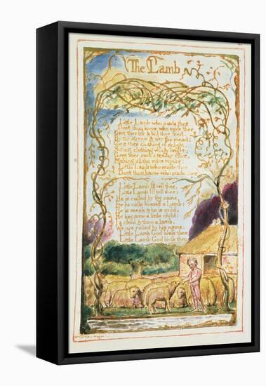 The Lamb: Plate 8 from 'Songs of Innocence and of Experience' C.1815-26-William Blake-Framed Stretched Canvas