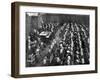 The Lambeth Conference of 1920-null-Framed Giclee Print