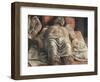 The Lamentation over the Dead Christ-Andrea Mantegna-Framed Art Print