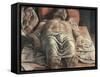 The Lamentation over the Dead Christ-Andrea Mantegna-Framed Stretched Canvas