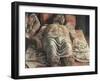 The Lamentation over the Dead Christ-Andrea Mantegna-Framed Art Print