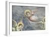 The Lamentation-Giotto di Bondone-Framed Giclee Print