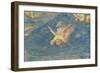 The Lamentation-Giotto di Bondone-Framed Giclee Print