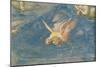 The Lamentation-Giotto di Bondone-Mounted Giclee Print