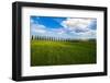 The land of cypresses-Marco Carmassi-Framed Photographic Print