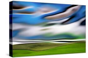 The Land-Ursula Abresch-Stretched Canvas