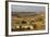 The Landscape around Matera, Basilicata, Italy, Europe-Olivier Goujon-Framed Photographic Print