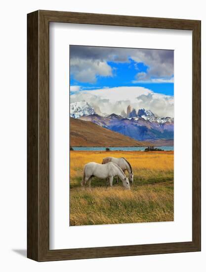 The Landscape in the National Park Torres Del Paine, Chile. Lake Laguna Azul in the Mountains. on T-kavram-Framed Photographic Print