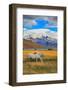 The Landscape in the National Park Torres Del Paine, Chile. Lake Laguna Azul in the Mountains. on T-kavram-Framed Photographic Print