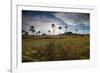 The Landscape of Chapada Dos Veadeiros National Park and the Jardim De Maitreya at Sunset-Alex Saberi-Framed Photographic Print