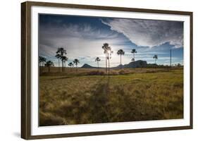 The Landscape of Chapada Dos Veadeiros National Park and the Jardim De Maitreya at Sunset-Alex Saberi-Framed Photographic Print