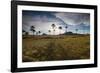 The Landscape of Chapada Dos Veadeiros National Park and the Jardim De Maitreya at Sunset-Alex Saberi-Framed Photographic Print