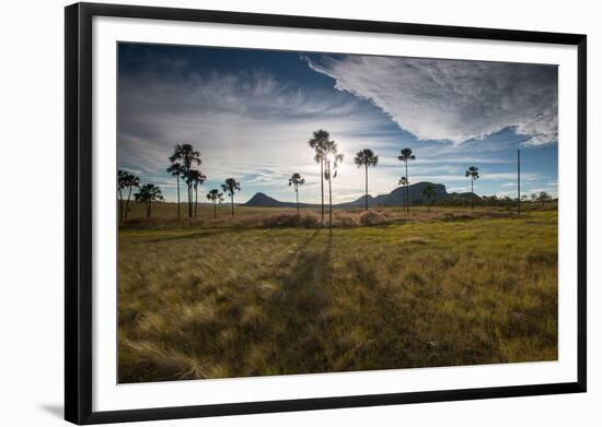 The Landscape of Chapada Dos Veadeiros National Park and the Jardim De Maitreya at Sunset-Alex Saberi-Framed Photographic Print