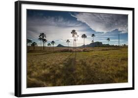 The Landscape of Chapada Dos Veadeiros National Park and the Jardim De Maitreya at Sunset-Alex Saberi-Framed Photographic Print