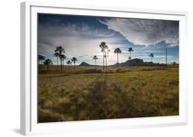 The Landscape of Chapada Dos Veadeiros National Park and the Jardim De Maitreya at Sunset-Alex Saberi-Framed Photographic Print