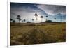 The Landscape of Chapada Dos Veadeiros National Park and the Jardim De Maitreya at Sunset-Alex Saberi-Framed Photographic Print