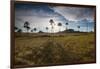 The Landscape of Chapada Dos Veadeiros National Park and the Jardim De Maitreya at Sunset-Alex Saberi-Framed Photographic Print