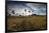 The Landscape of Chapada Dos Veadeiros National Park and the Jardim De Maitreya at Sunset-Alex Saberi-Framed Photographic Print