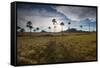 The Landscape of Chapada Dos Veadeiros National Park and the Jardim De Maitreya at Sunset-Alex Saberi-Framed Stretched Canvas