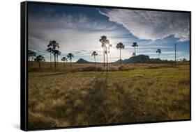 The Landscape of Chapada Dos Veadeiros National Park and the Jardim De Maitreya at Sunset-Alex Saberi-Framed Stretched Canvas