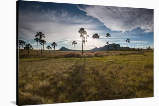 The Landscape of Chapada Dos Veadeiros National Park and the Jardim De Maitreya at Sunset-Alex Saberi-Stretched Canvas