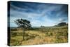 The Landscape of Chapada Dos Veadeiros National Park and the Jardim De Maitreya-Alex Saberi-Stretched Canvas