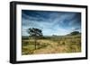 The Landscape of Chapada Dos Veadeiros National Park and the Jardim De Maitreya-Alex Saberi-Framed Photographic Print