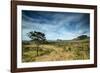 The Landscape of Chapada Dos Veadeiros National Park and the Jardim De Maitreya-Alex Saberi-Framed Photographic Print