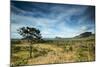 The Landscape of Chapada Dos Veadeiros National Park and the Jardim De Maitreya-Alex Saberi-Mounted Photographic Print