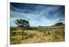 The Landscape of Chapada Dos Veadeiros National Park and the Jardim De Maitreya-Alex Saberi-Framed Photographic Print