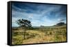 The Landscape of Chapada Dos Veadeiros National Park and the Jardim De Maitreya-Alex Saberi-Framed Stretched Canvas