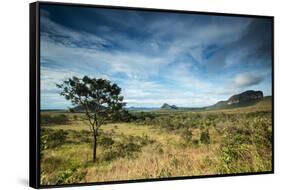 The Landscape of Chapada Dos Veadeiros National Park and the Jardim De Maitreya-Alex Saberi-Framed Stretched Canvas