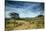 The Landscape of Chapada Dos Veadeiros National Park and the Jardim De Maitreya-Alex Saberi-Stretched Canvas