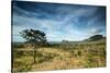 The Landscape of Chapada Dos Veadeiros National Park and the Jardim De Maitreya-Alex Saberi-Stretched Canvas