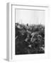 The Landscape of Les Eparges, Near Verdun, France, 1915-null-Framed Giclee Print