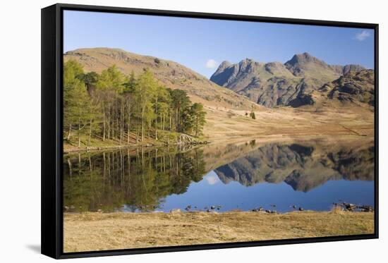 The Langdale Pikes Reflected in Blea Tarn, Above Little Langdale, Lake District National Park-Ruth Tomlinson-Framed Stretched Canvas