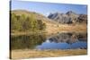 The Langdale Pikes Reflected in Blea Tarn, Above Little Langdale, Lake District National Park-Ruth Tomlinson-Stretched Canvas