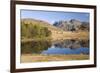 The Langdale Pikes Reflected in Blea Tarn, Above Little Langdale, Lake District National Park-Ruth Tomlinson-Framed Photographic Print