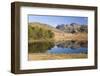 The Langdale Pikes Reflected in Blea Tarn, Above Little Langdale, Lake District National Park-Ruth Tomlinson-Framed Photographic Print