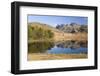 The Langdale Pikes Reflected in Blea Tarn, Above Little Langdale, Lake District National Park-Ruth Tomlinson-Framed Photographic Print