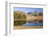 The Langdale Pikes Reflected in Blea Tarn, Above Little Langdale, Lake District National Park-Ruth Tomlinson-Framed Photographic Print