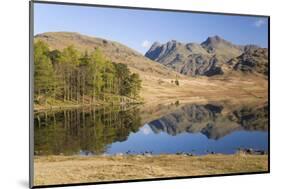The Langdale Pikes Reflected in Blea Tarn, Above Little Langdale, Lake District National Park-Ruth Tomlinson-Mounted Photographic Print