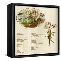 The Language and Meaning of Flowers-Kate Greenaway-Framed Stretched Canvas