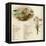 The Language and Meaning of Flowers-Kate Greenaway-Framed Stretched Canvas